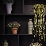 Apartment Exclusive Mostowa By Renters Prestige Poznan